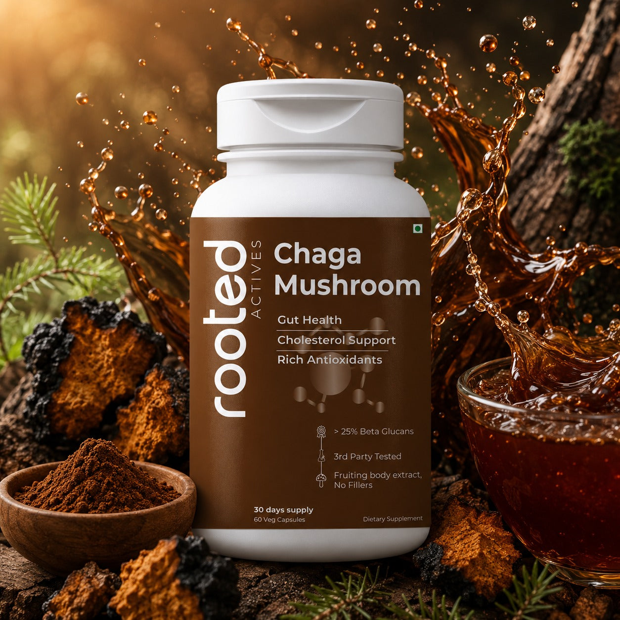 Chaga Mushroom Extract Capsules