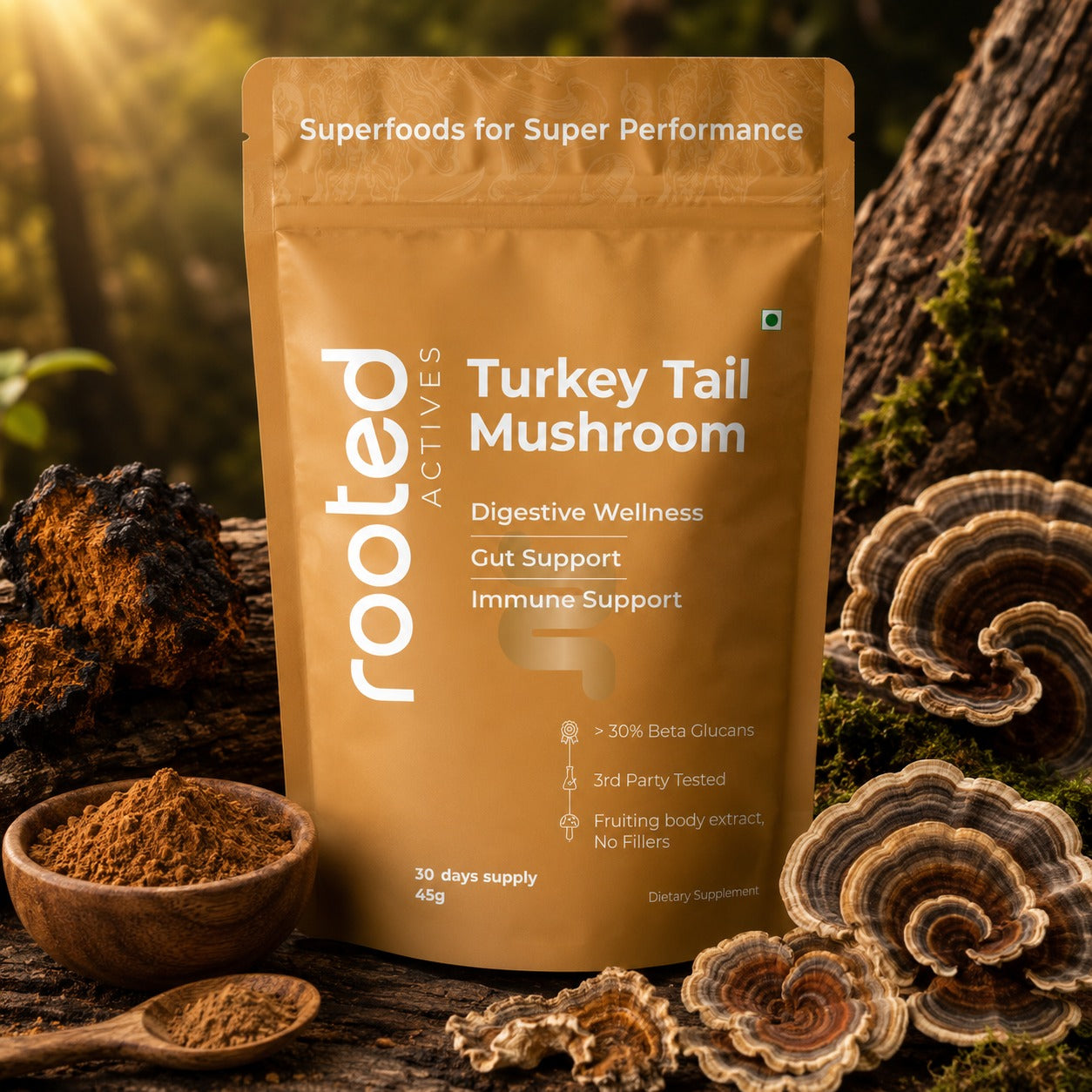 Turkey Tail Extract Powder